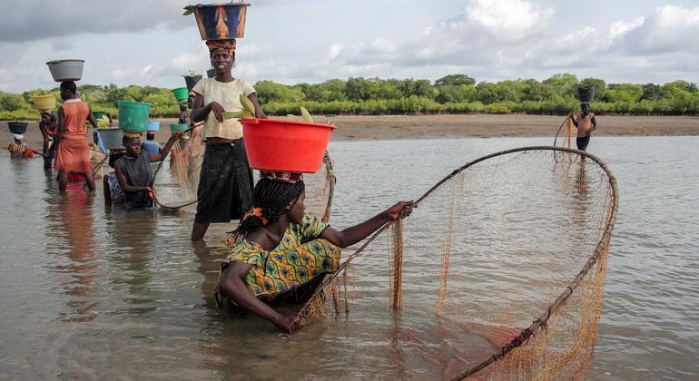 Observatório de Direitos Humanos vai documentar feminicídios na Guiné-Bissau