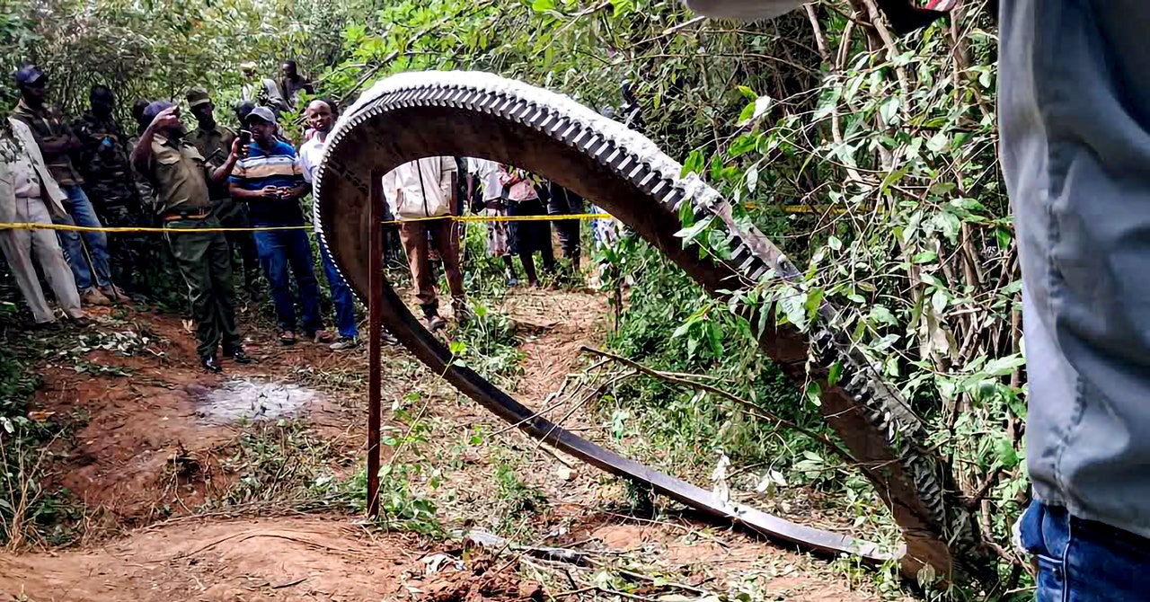 Um anel de metal brilhante caiu na Terra. Ninguém sabe de onde veio