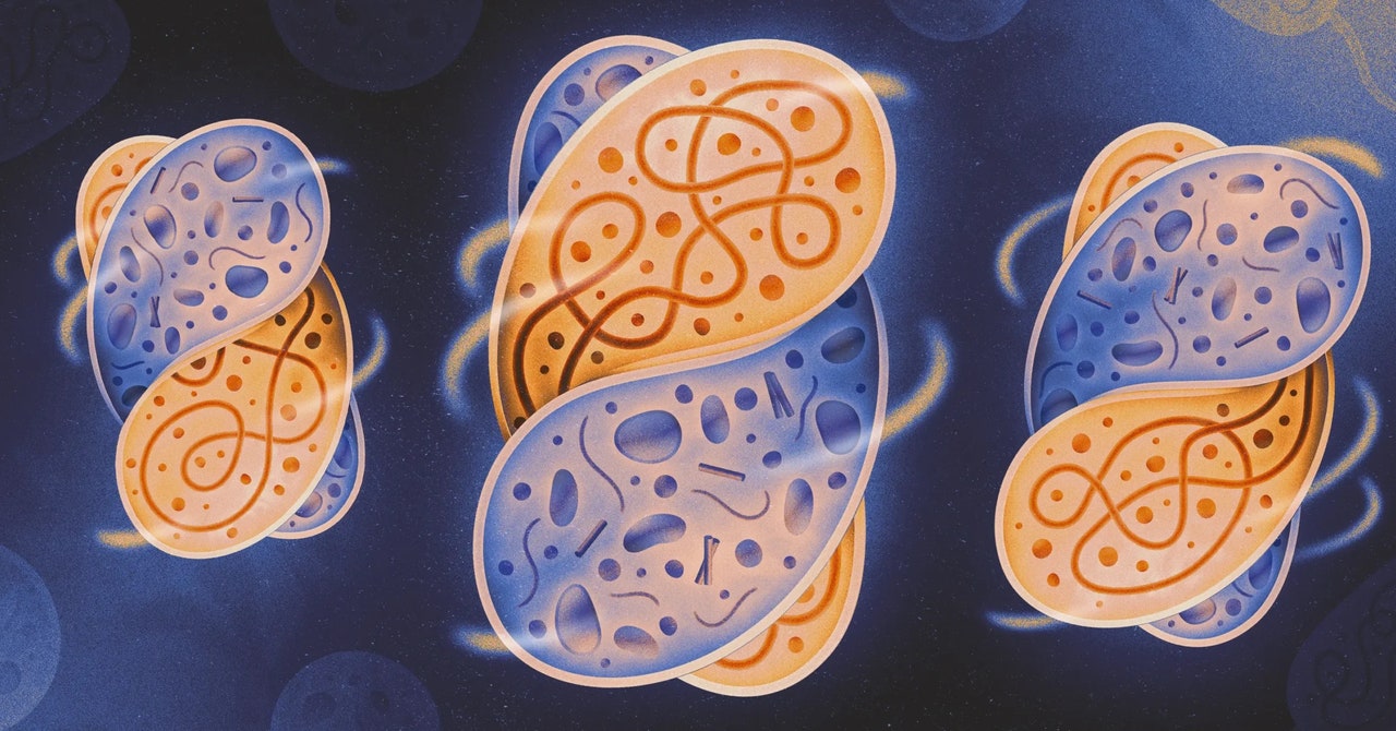 Os cientistas recriam as condições que despertaram vida complexa