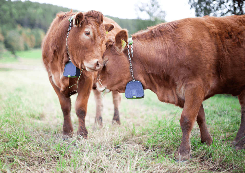 As 10 principais histórias de redefinição da agricultura de 2024