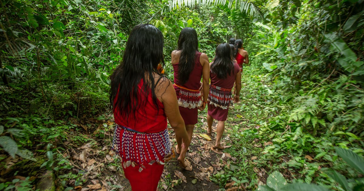 Conheça o cientista que ajuda mulheres a encontrarem sua voz