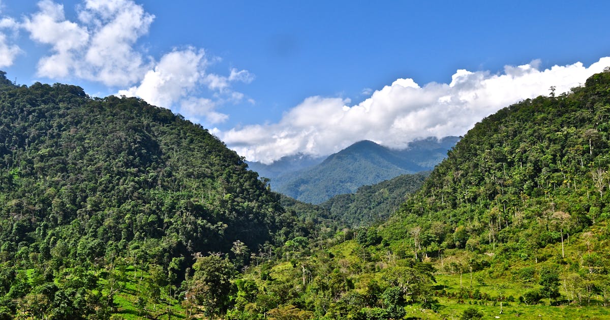 Na luta climática, ‘natureza vs tecnologia’ um falso debate