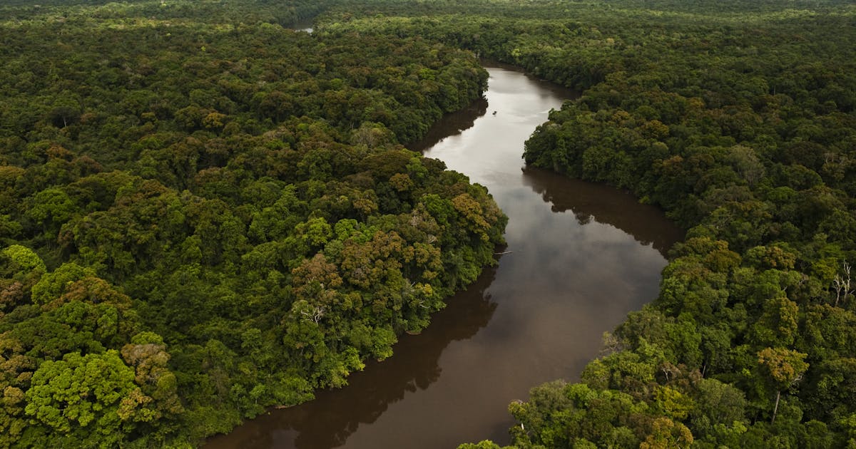 Um quarto das espécies de água doce correm risco de extinção, revela estudo