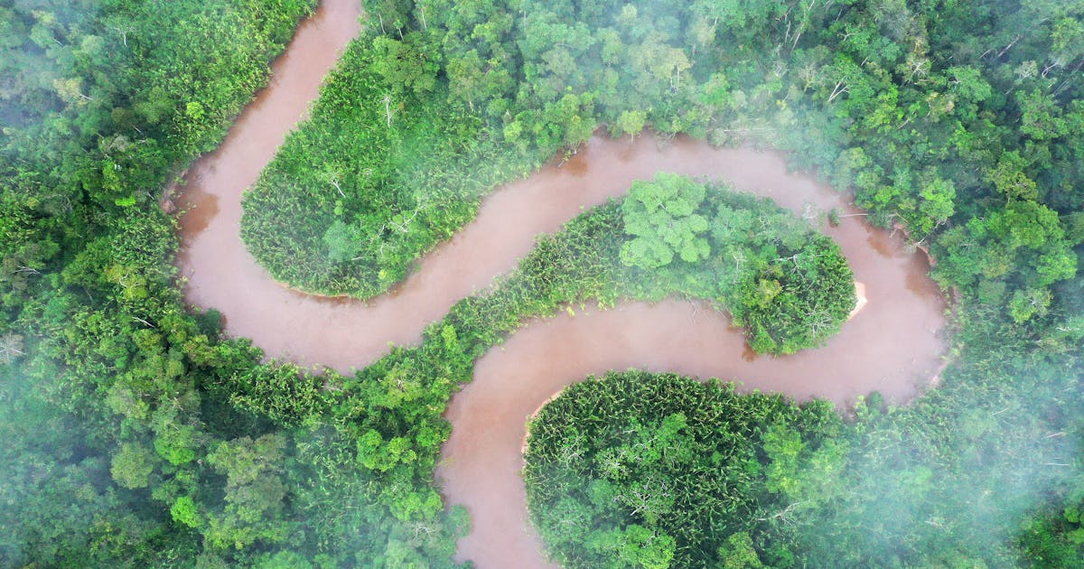 ‘Quase não pude acreditar’: expedição à Amazônia surpreende pesquisadores