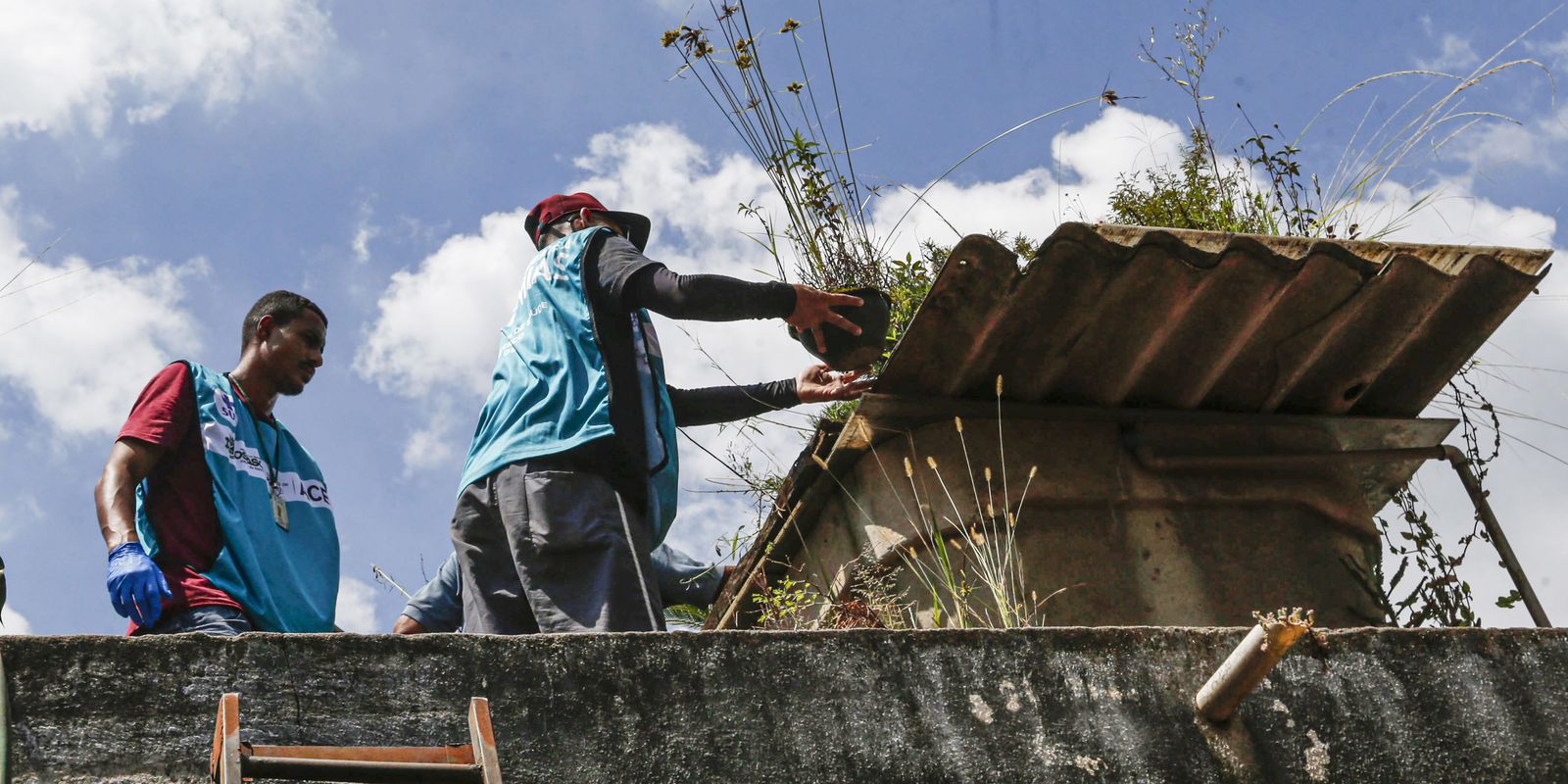 Saúde reforça monitoramento e ações de controle da dengue em 4 estados