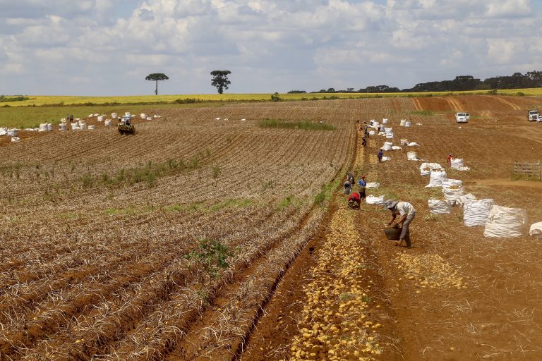 Regulamentação de bioinsumos é destaque em aprovações na área agrícola – Notícias