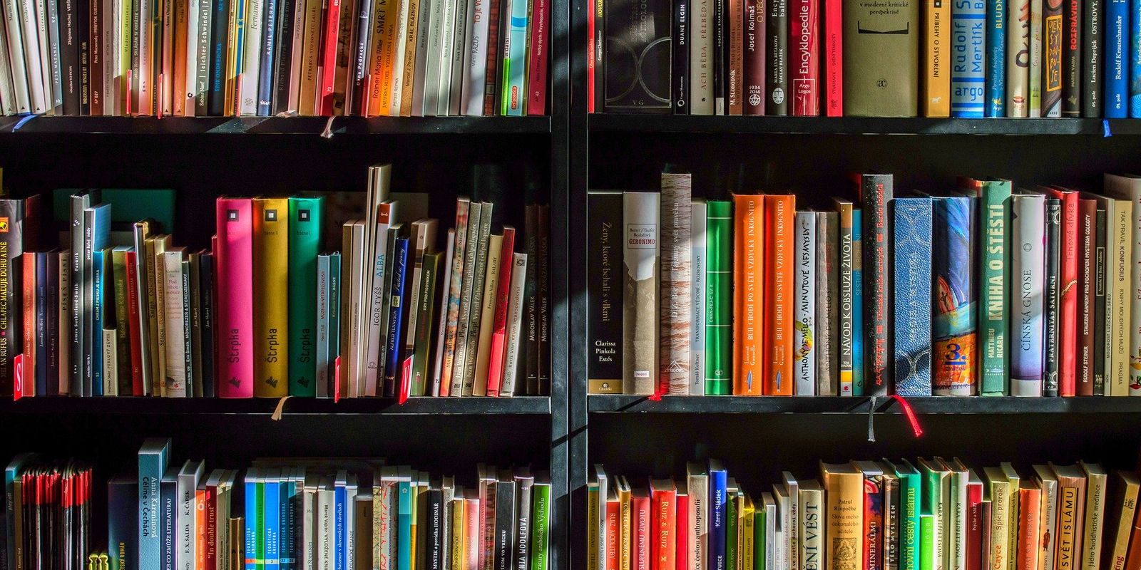 Viva Maria abre a biblioteca no Dia Internacional da Doação de Livros