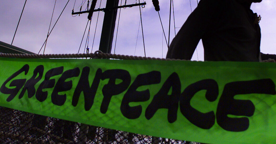 Lutou para salvar as baleias. O Greenpeace pode se salvar?