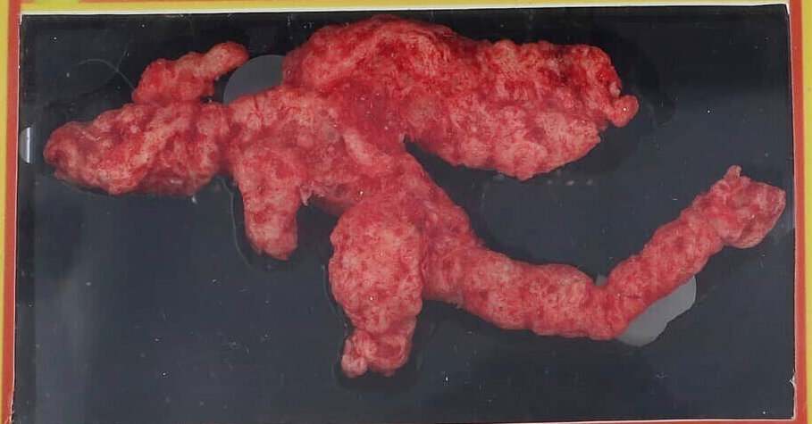 Um Cheeto em forma como o Pokemon Charizard vende por quase US $ 90.000