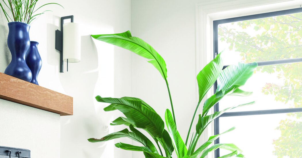 9 produtos para sua casa, com um senso de estilo