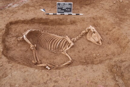 Cemitério de cavalos de cavalaria romana encontrada em Stuttgart – o blog de história