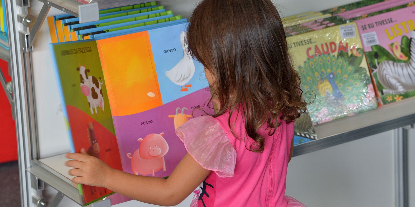 Dia Nacional do Livro Infantil é celebrado nesta sexta-feira