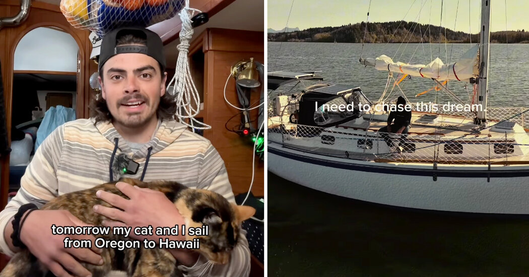 A estrela de Tiktok, Oliver Widger, e seu gato, estão navegando de Oregon para o Havaí
