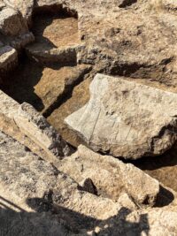 Alívio monumental encontrado no Palácio de Nínive – o blog de história