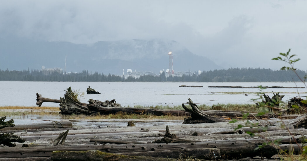 Eleição do Canadá Destaques: Mark Carney vence um novo termo como primeiro -ministro