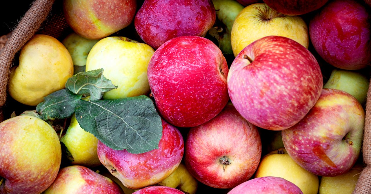 As tarifas de Trump estão ameaçando a cadeia de suprimentos de suco de maçã da América