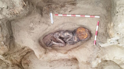 Toucano Bak encontrado no túmulo da mulher de elite no Peru – o blog de história