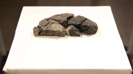 Pão mais antigo voando das prateleiras – o blog de história