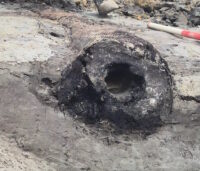 Tubo de água de madeira romana encontrada na Bélgica – o blog de história