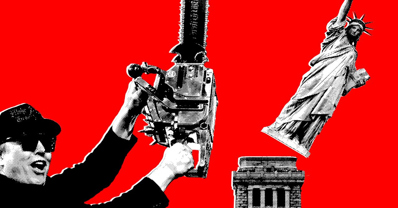 Elon Musk diz que vai se afastar do governo. Doge não vai a lugar nenhum