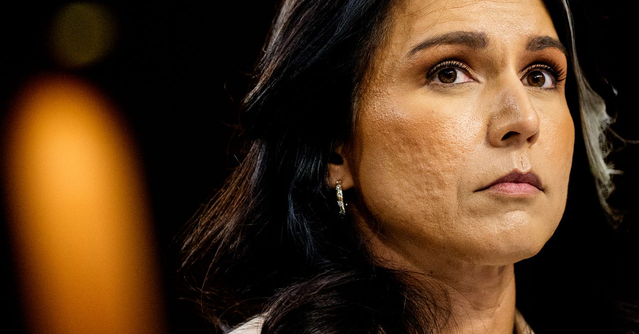 Tulsi Gabbard reutilizou a mesma senha fraca em várias contas por anos