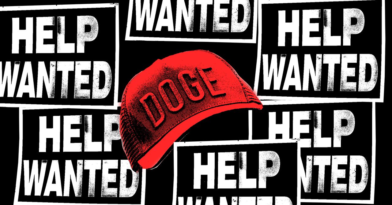 Doge está em uma onda de recrutamento