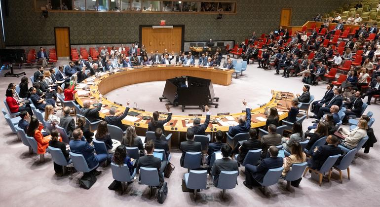 Resolução sobre cessar-fogo em Gaza é vetada no Conselho de Segurança