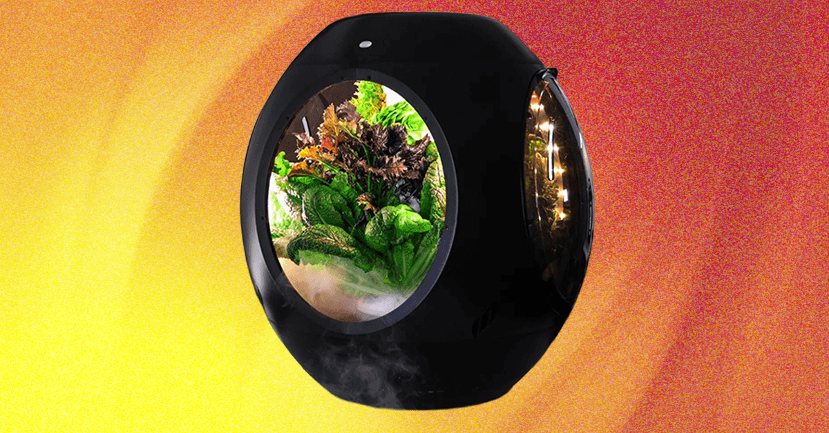 Plantaform Smart Indoor Garden Review: recompensador, mas arriscado
