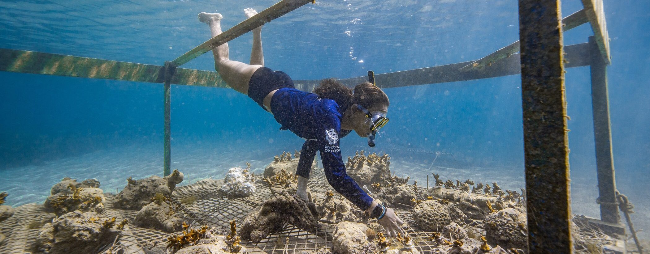 Embratur e Sebrae apresentam experiências do Feel Brasil a empresas e operadores de turismo