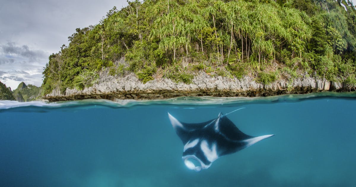 Nas ilhas preciosas, a Indonésia interrompe a mineração