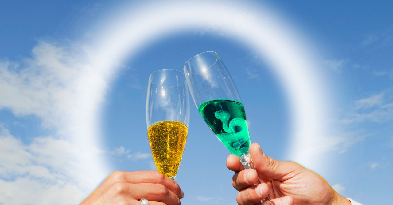 Venom de cobra, urina e uma busca para viver para sempre: dentro de uma conferência de biohacking encorajada por maha