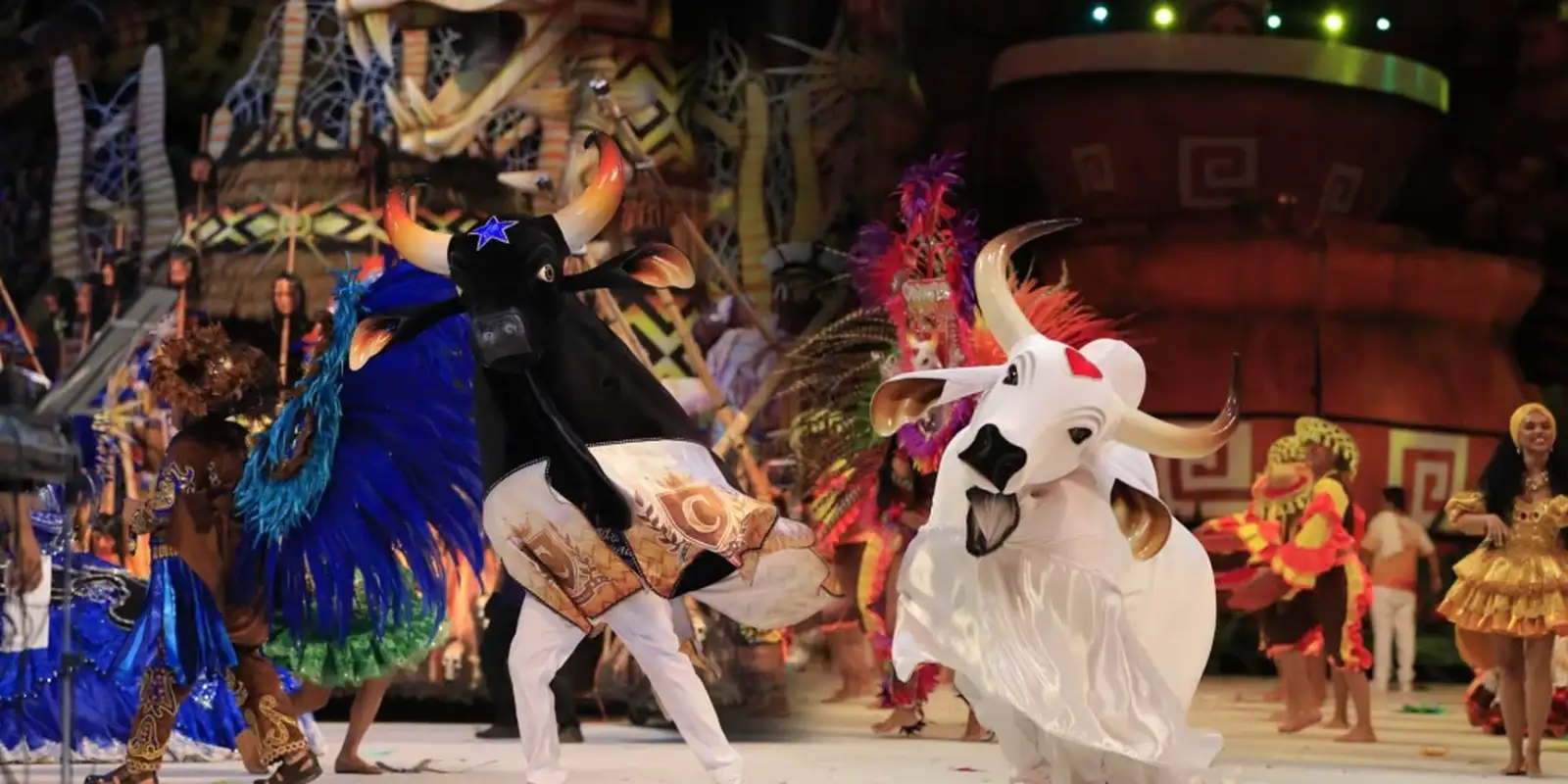 Clima de rivalidade entre bois Garantido e Caprichoso invade Parintins