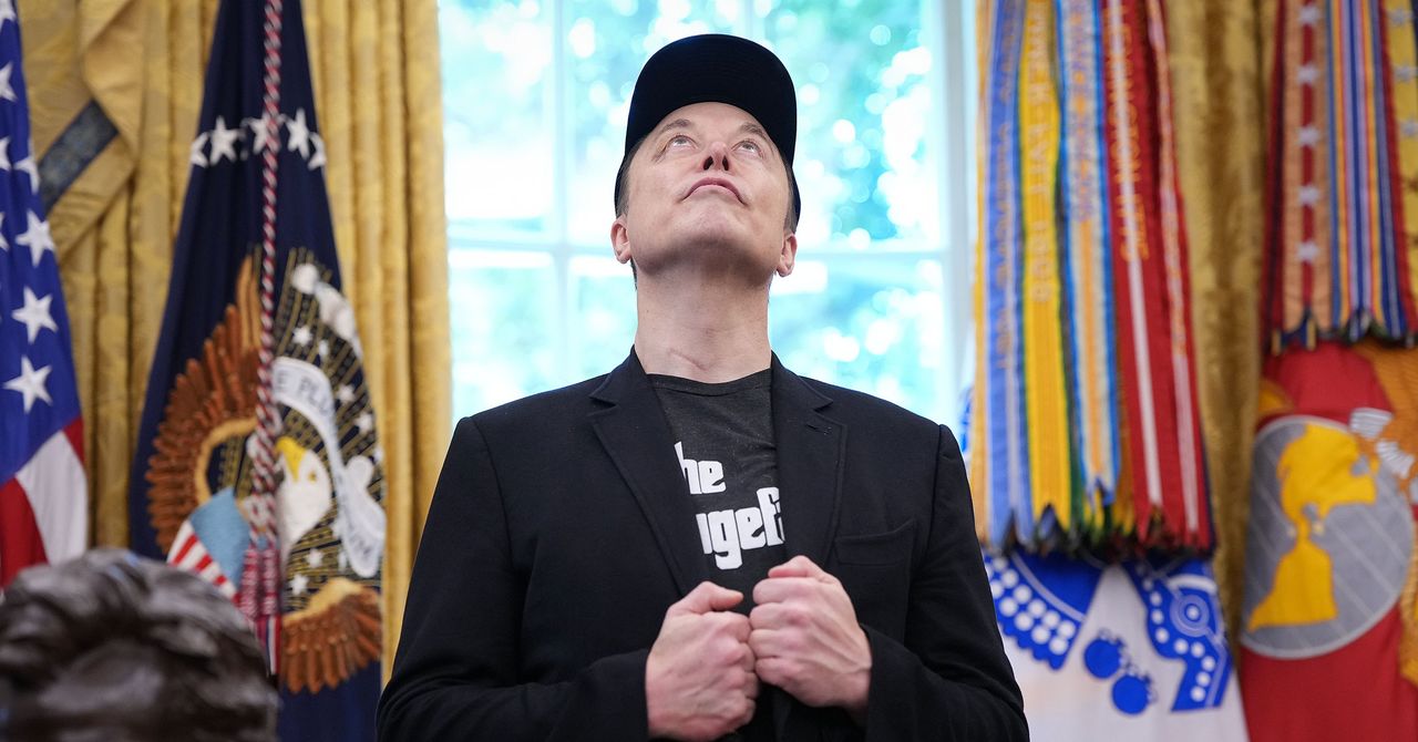 ‘100% estúpido’: Maga World está cautelosamente ligando o Elon Musk