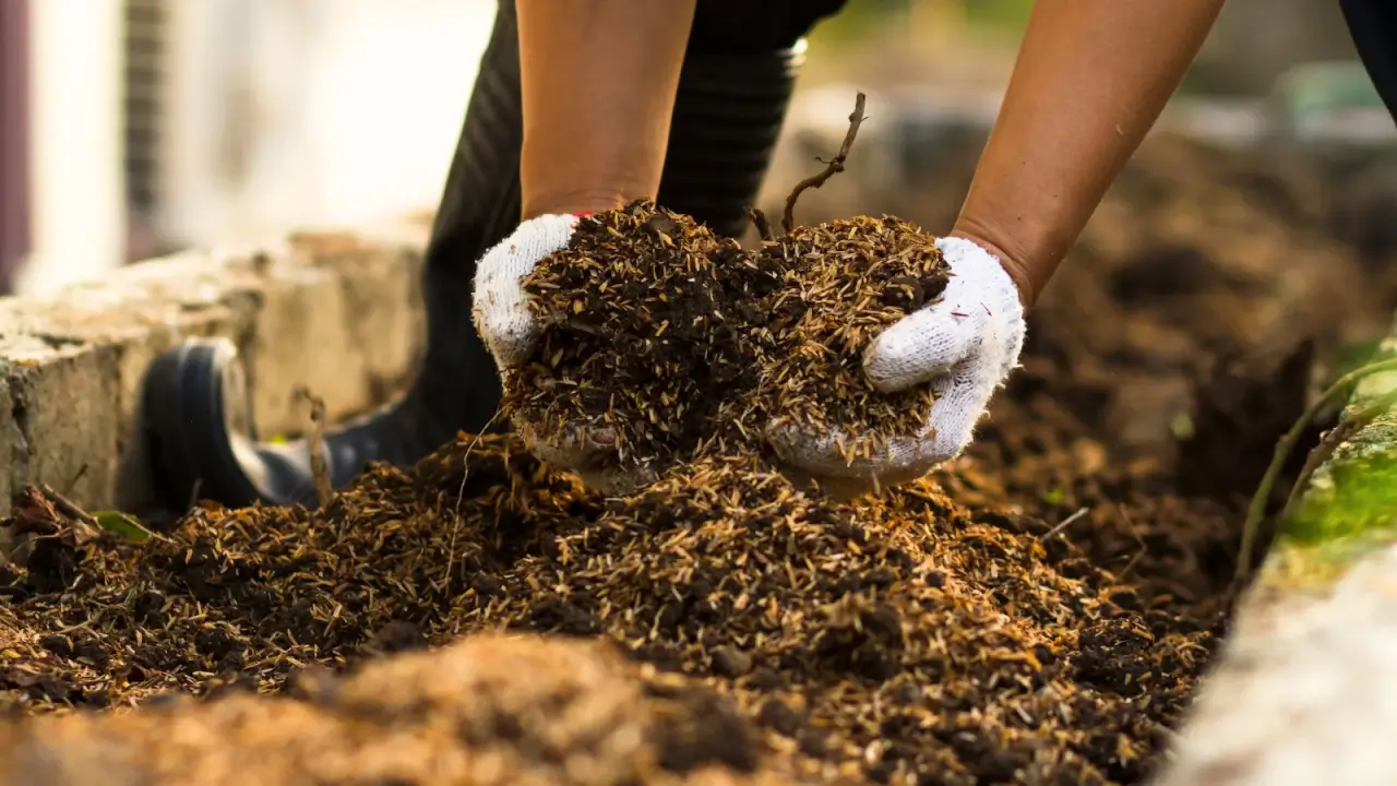 5 práticas a serem implementadas agora