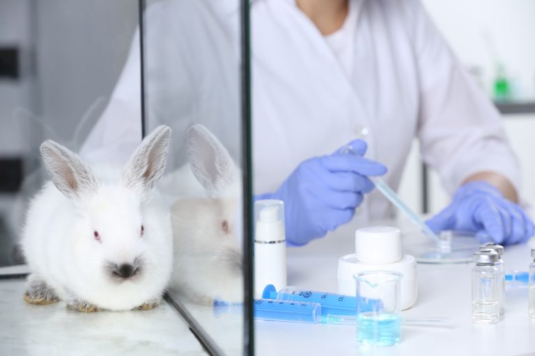 Balanço do semestre: projeto aprovado proíbe uso de animais em testes de cosméticos