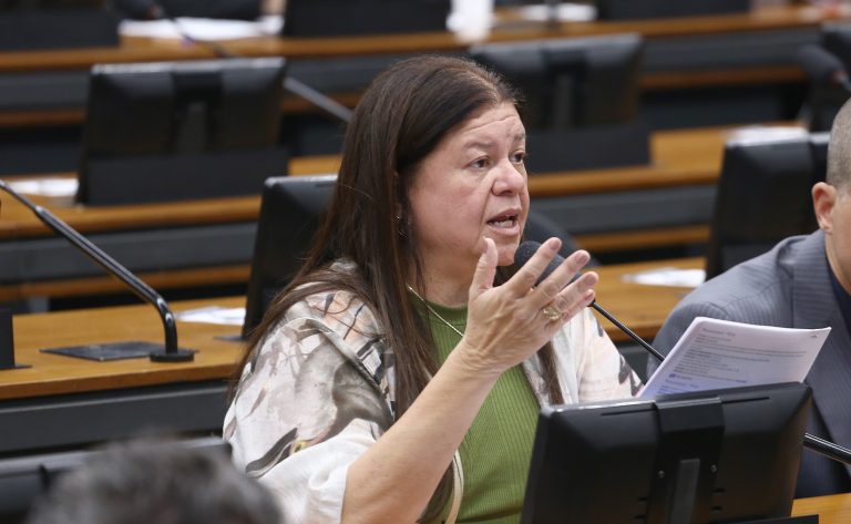 CCJ aprova garantia de aposentadoria rural para mulheres do campo identificadas como donas de casa – Notícias