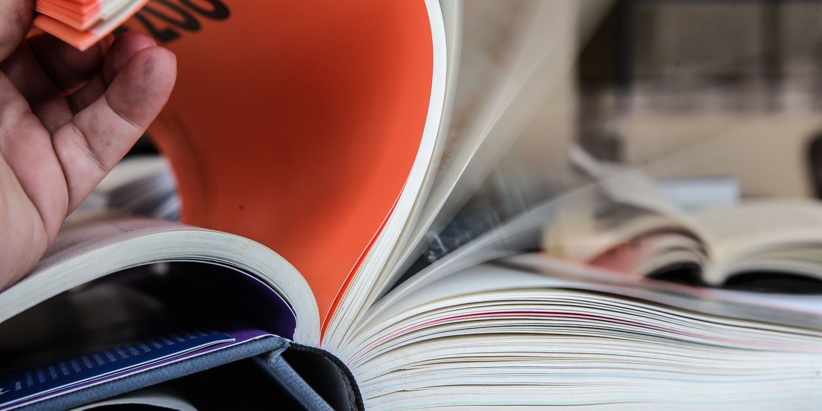 Clube das Musas, de Fortaleza, realiza Sarau e Feira Literária