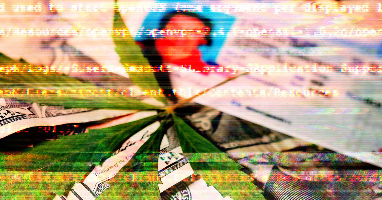 Dados de paciente de cannabis medicinal altamente sensível expostos por banco de dados não garantido