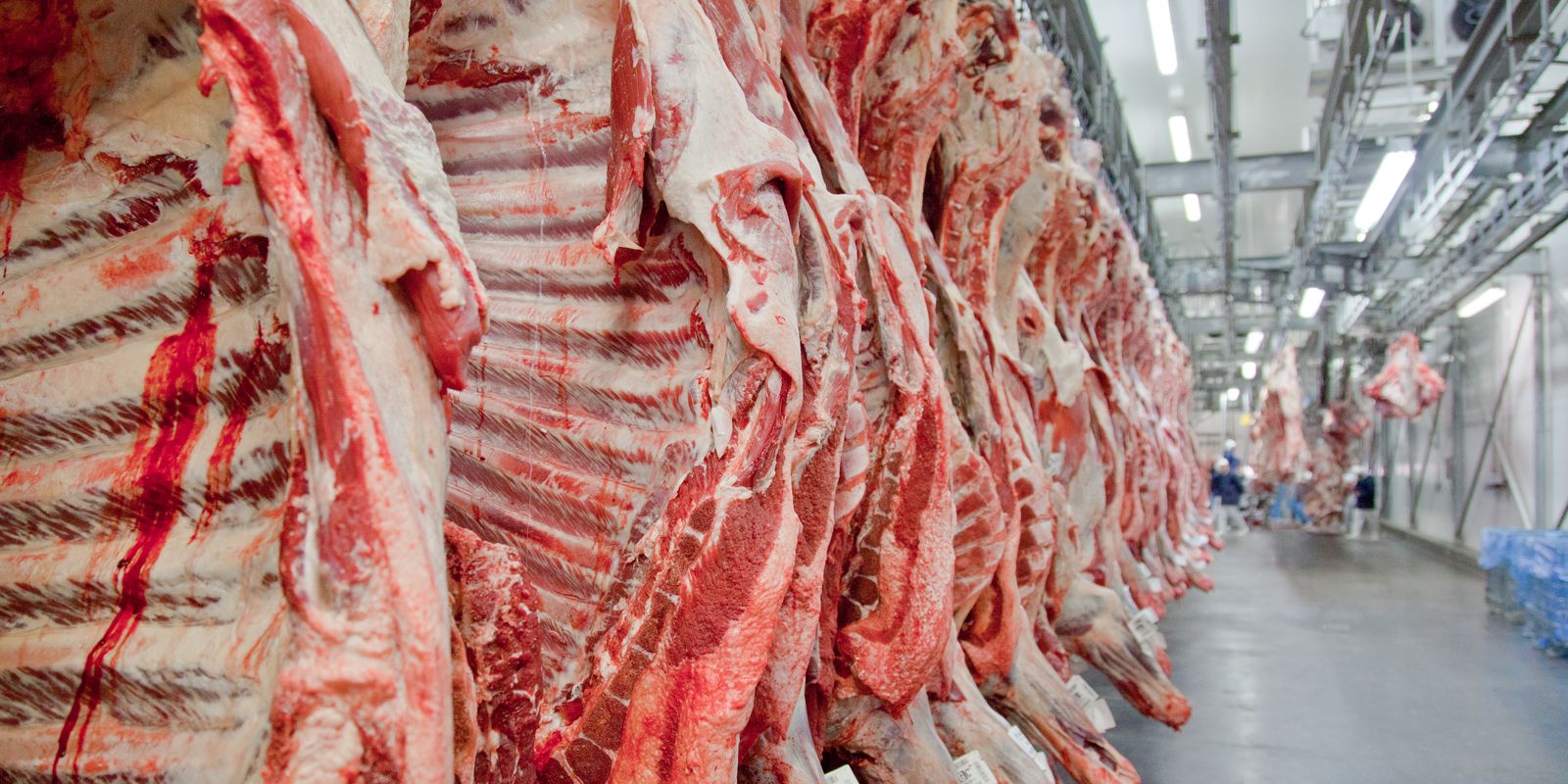 Exportação de carne bovina bate recorde em mês anterior ao tarifaço