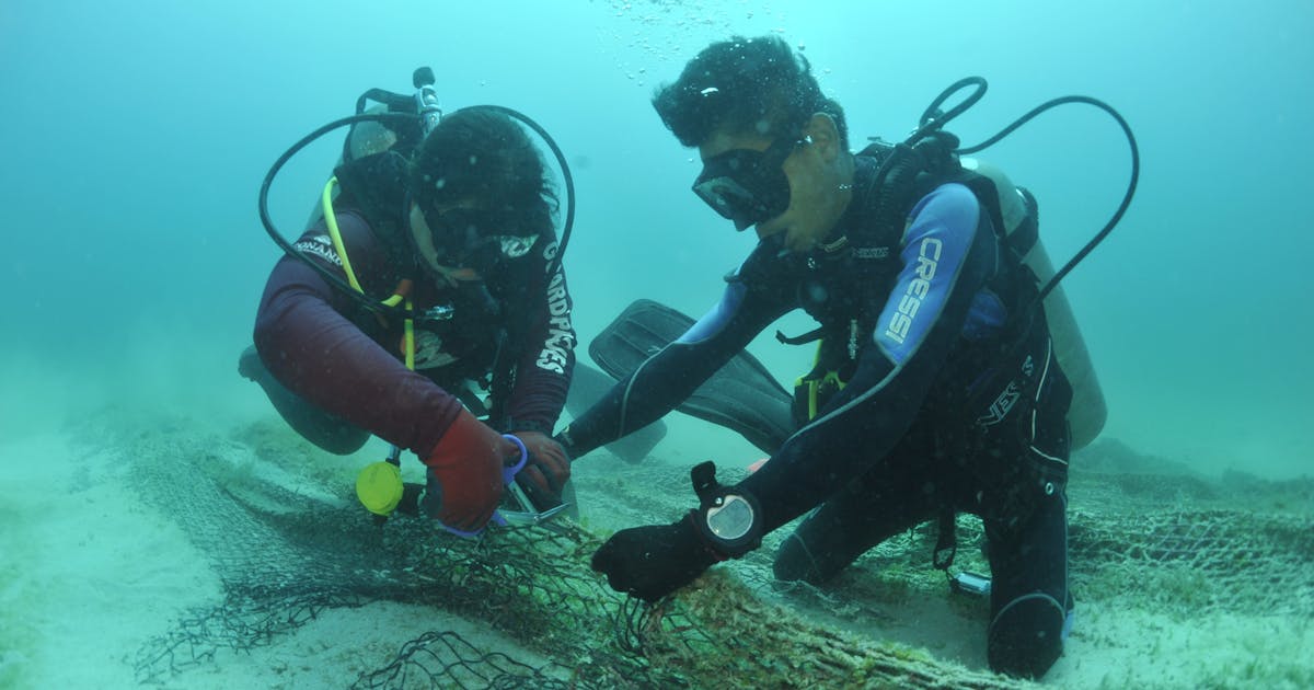 Fora da costa do México, os mergulhadores nab maior ‘fantasma’ ainda