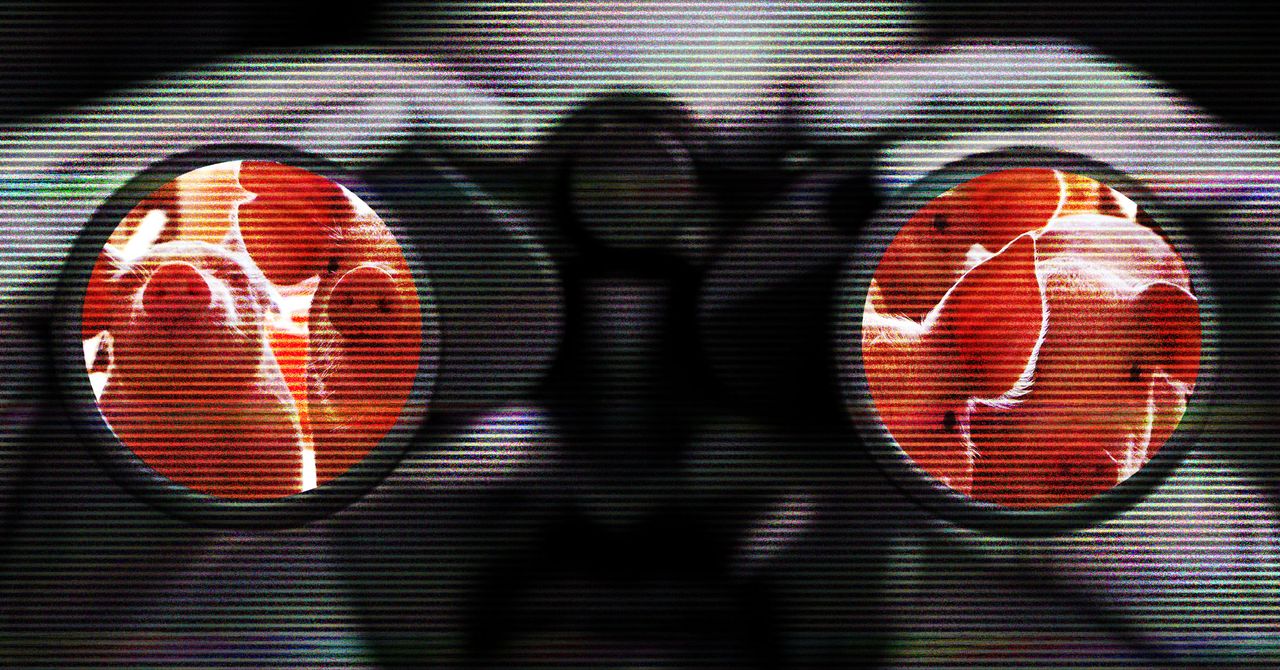 493 casos de sextortion contra crianças ligadas a compostos notórios de fraude