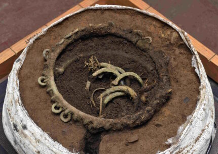 Segredos de Rosemarkie Bronze Idade do Bronze revelou – o blog de história