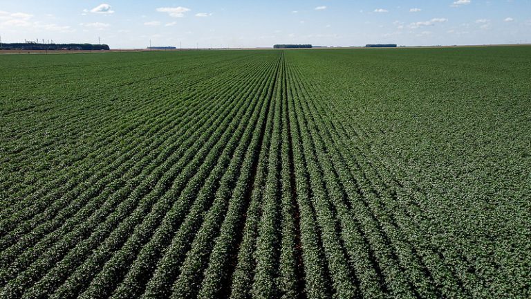 Comissão debate impacto dos créditos de descarbonização no agronegócio – Notícias