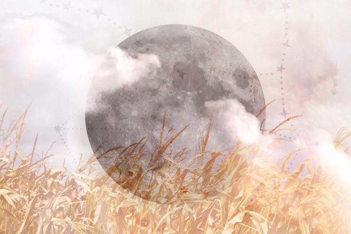Como a lua de milho desta semana afetará seu signo do zodíaco