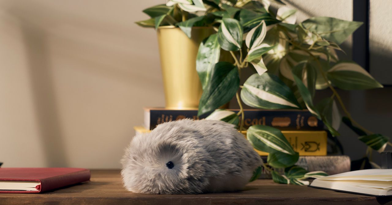 O robô fofo de IA da Casio abriu caminho até meu coração