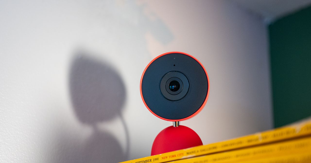 Gêmeos no Google Home continua confundindo meu cachorro com um gato