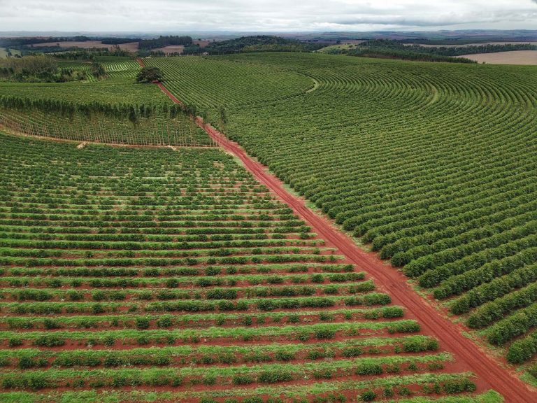 Audiência pública avalia plano de produção de fertilizantes do governo – Notícias