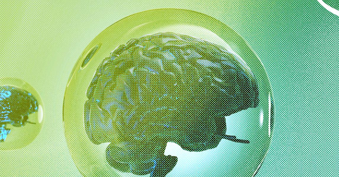 As 4 coisas que você precisa para uma bolha tecnológica