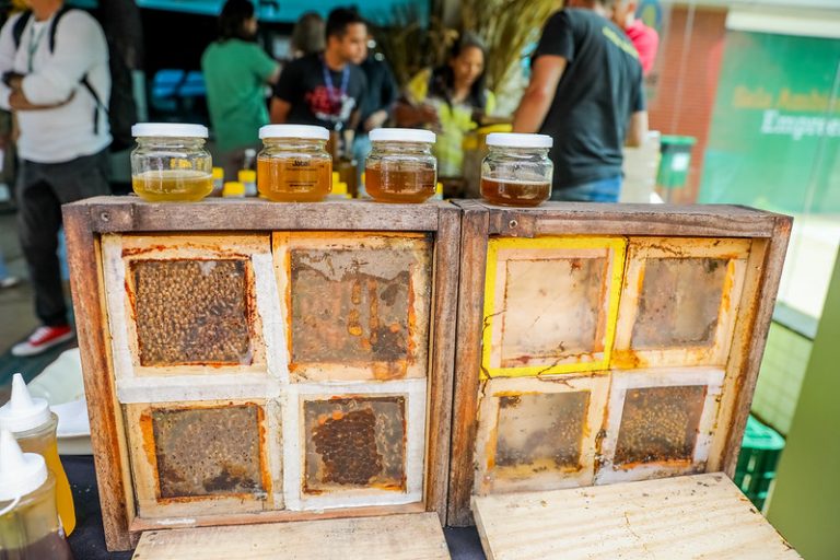 Medida provisória abre crédito orçamentário para apoiar agricultura familiar afetada por tarifaço – Notícias