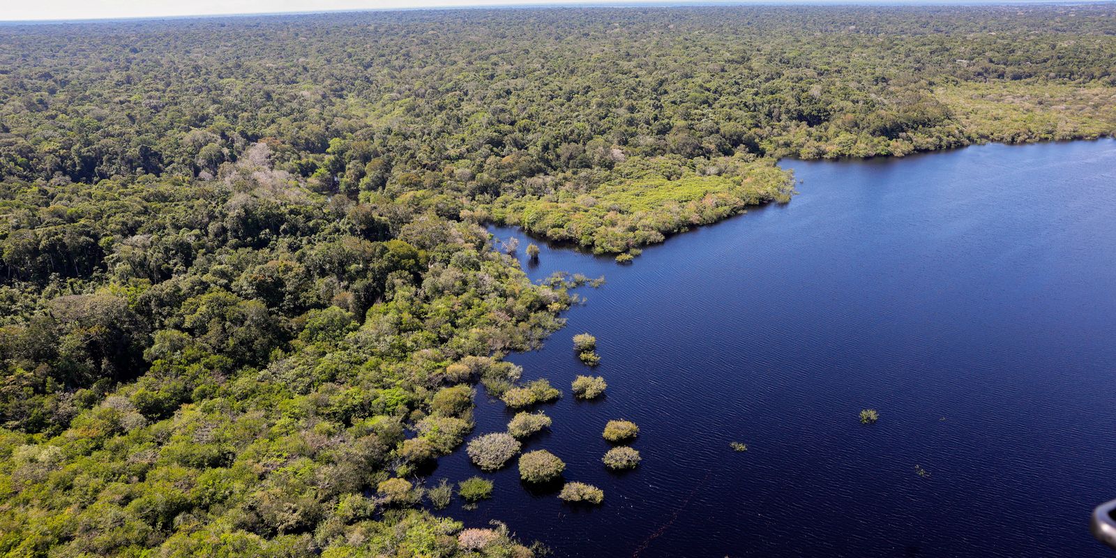 COP30: quarto leilão do Eco Invest terá foco exclusivo na Amazônia